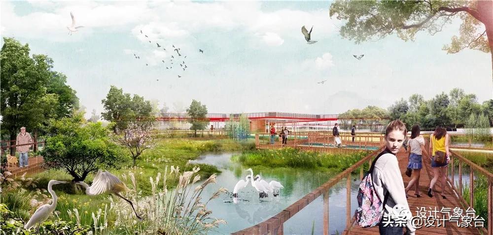 湿地景观效果图,big惜败完整视频