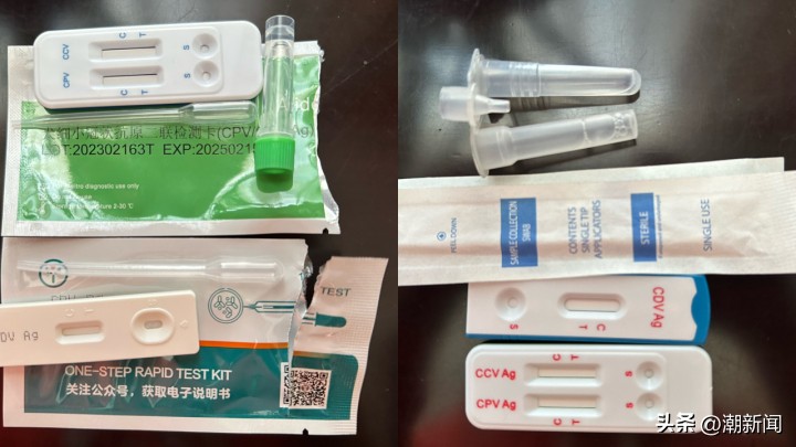 宠物线上代购主播的一出“好戏”背后圈套：谁演得好谁就赚得多