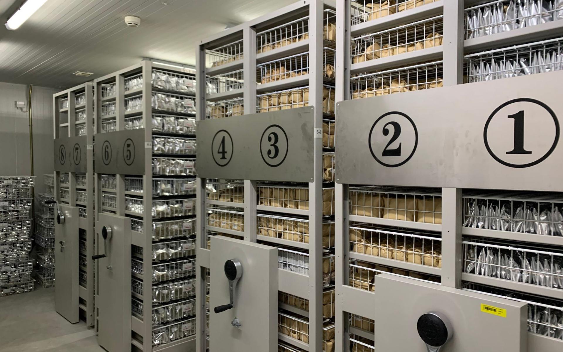 1斤洋种子能买1辆法拉利？进口种子受制于人，如何才能打破僵局？