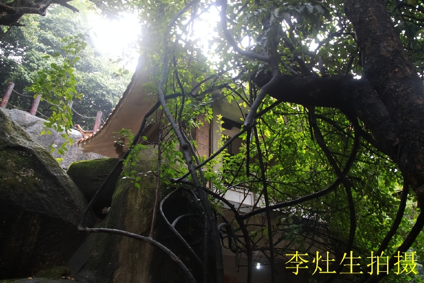 杨四将军庙简介,杨四将军庙在哪个位置