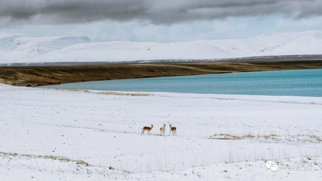 *藏西**不靠海,也能坐拥顶级颜值?靠的是“一措再措”!