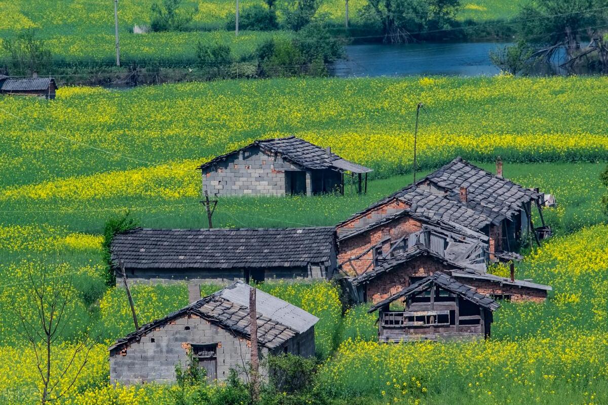 家中出现这三种吉兆未来十年,家里有哪四种吉兆要发达