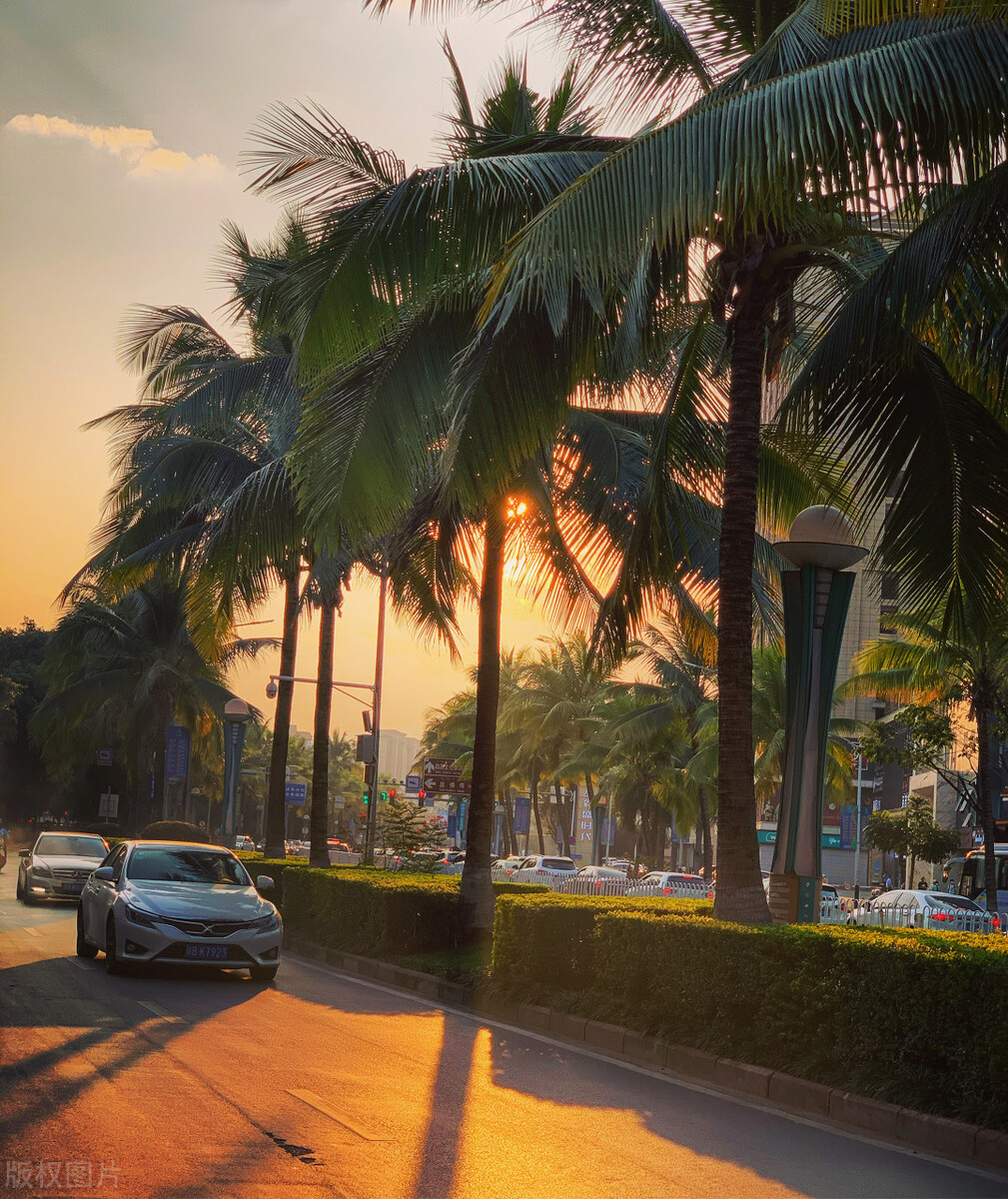 中国最具风情的养老胜地，北回归线上唯一的绿洲，不在乎春夏秋冬