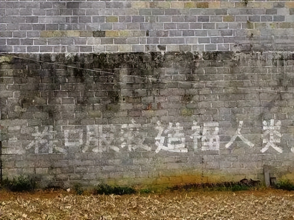 椰树牌椰汁低俗广告事件分析,椰树牌椰汁低俗广告该怎么处理