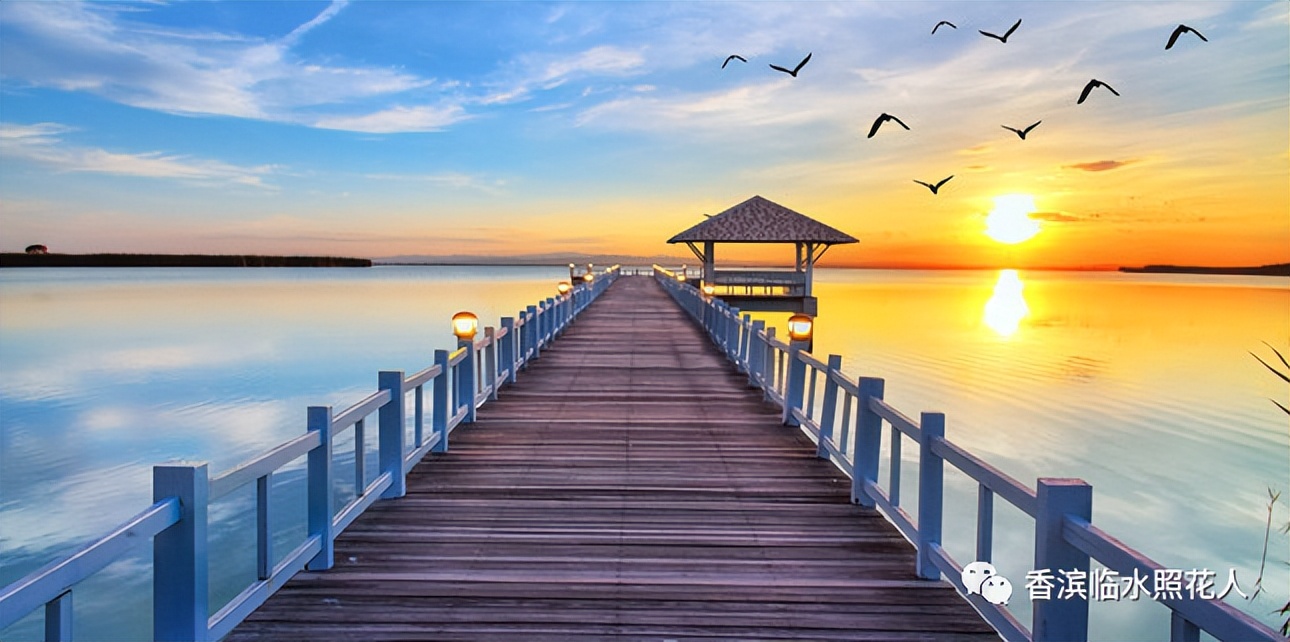 【思维导图“画”作文】王俊廷的看图写话——金色的沙滩（7）