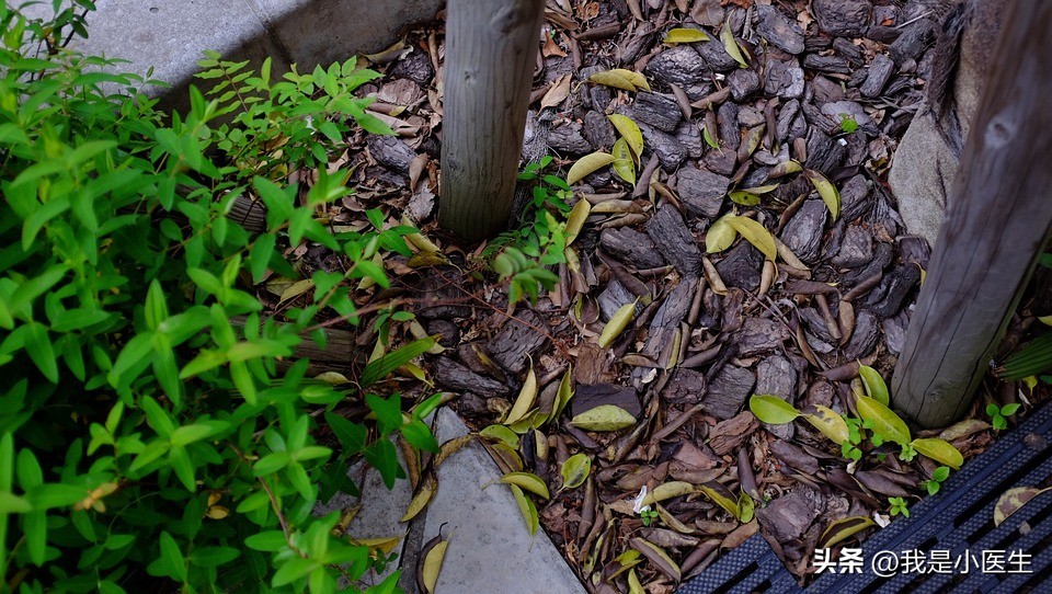 慢性纤维空洞型肺结核严重吗,结核防治科普视频