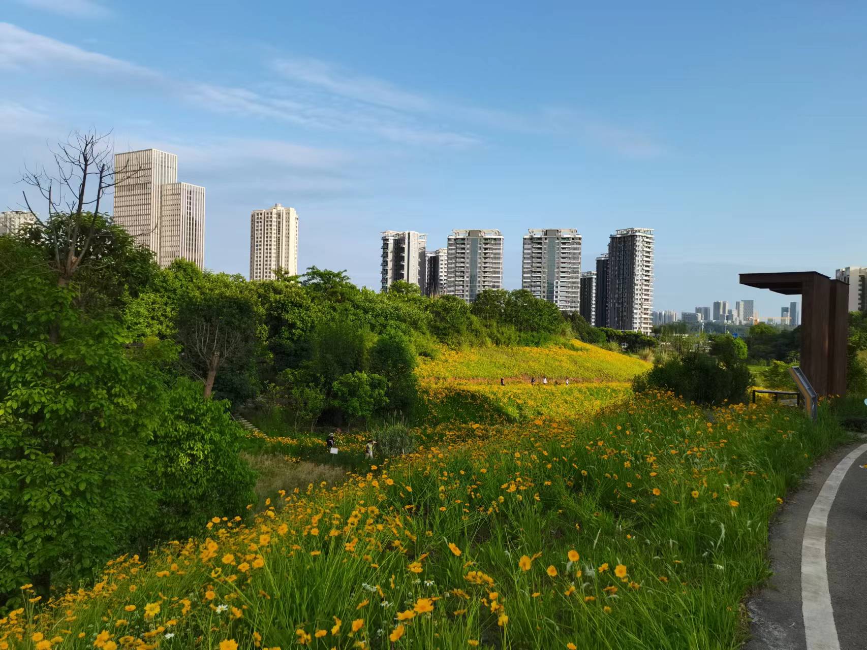 天府新区天府花香谷,成都天府新区花谷
