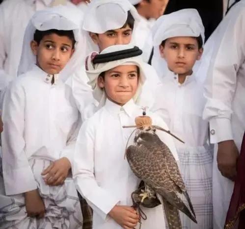 卡塔尔冷知识完整版,卡塔尔世界杯你不知道的冷知识