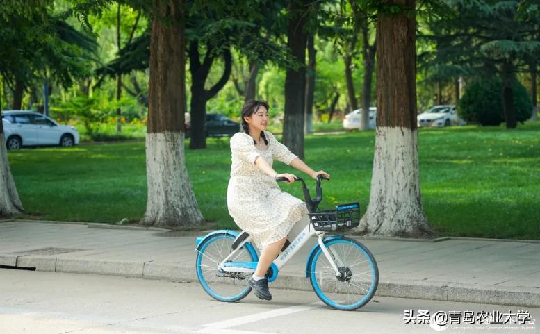 红橙黄绿青蓝紫，pick出你心中的青岛农大色彩