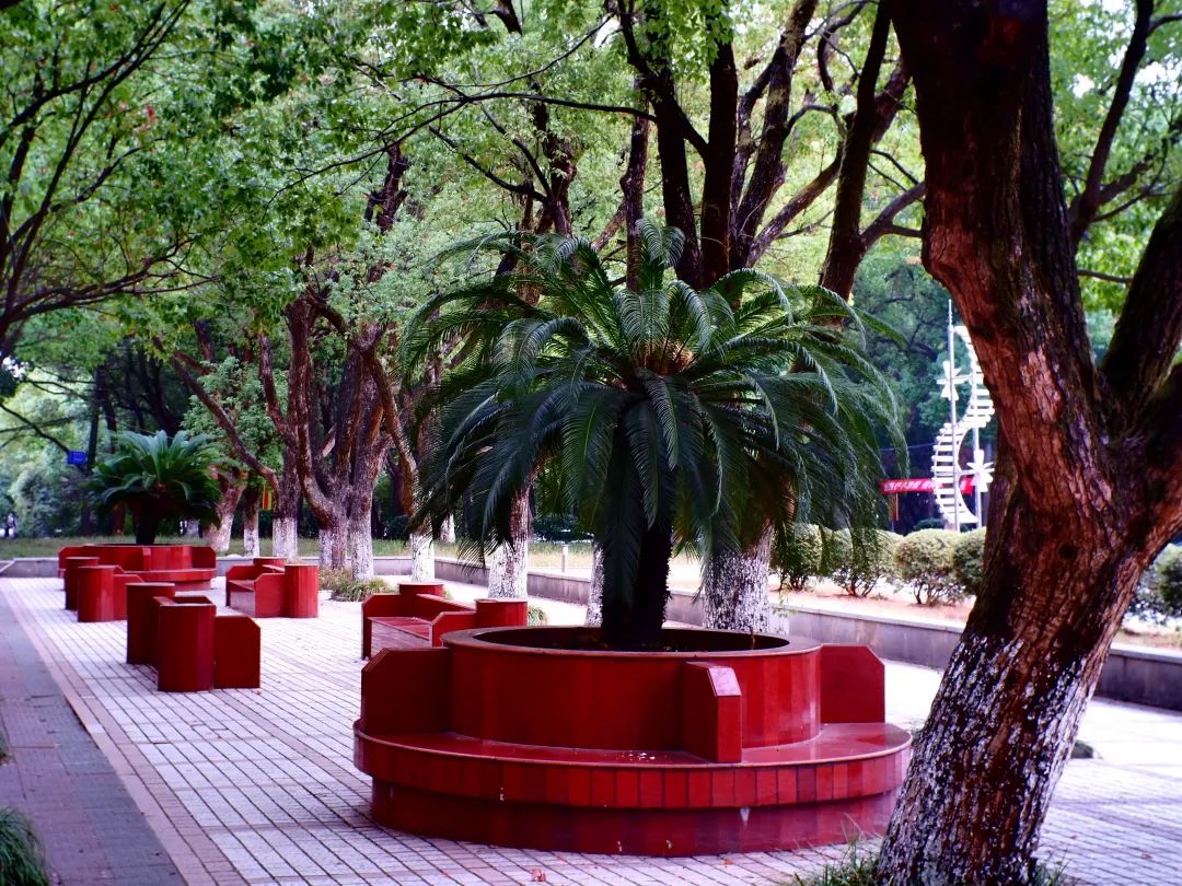 江西科技师范大学在南昌哪个位置,江西科技师范大学是公立嘛