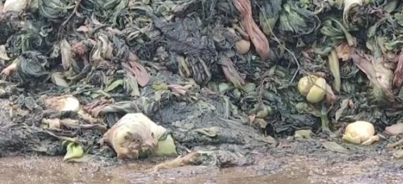 比酸菜牛肉面更恶心的东西,老坛酸菜到底有多恶心