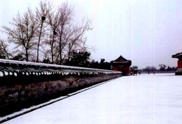 构图元素,构图元素讲解视频教程