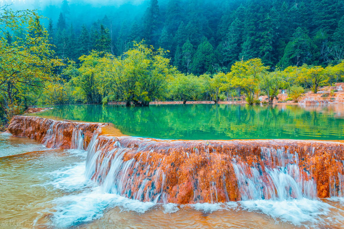 泸州老窖2022,泸州老窖入围中国企业500强没有