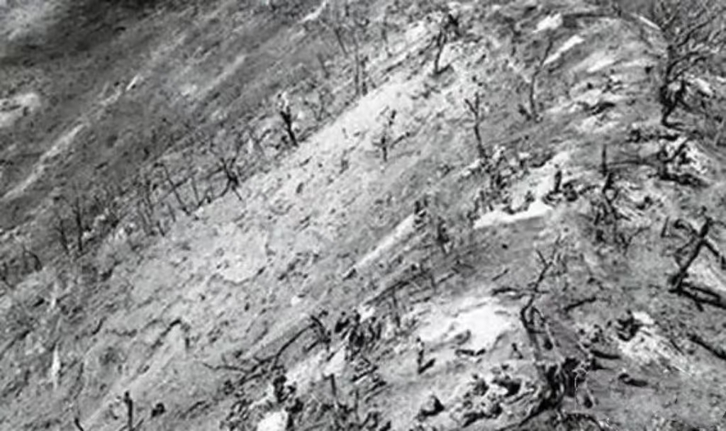 鏈濋矞鎴樺満涓婄殑鏈濋矞鎶ゅ＋,鏈濋矞鎴樺満浼ゅ憳