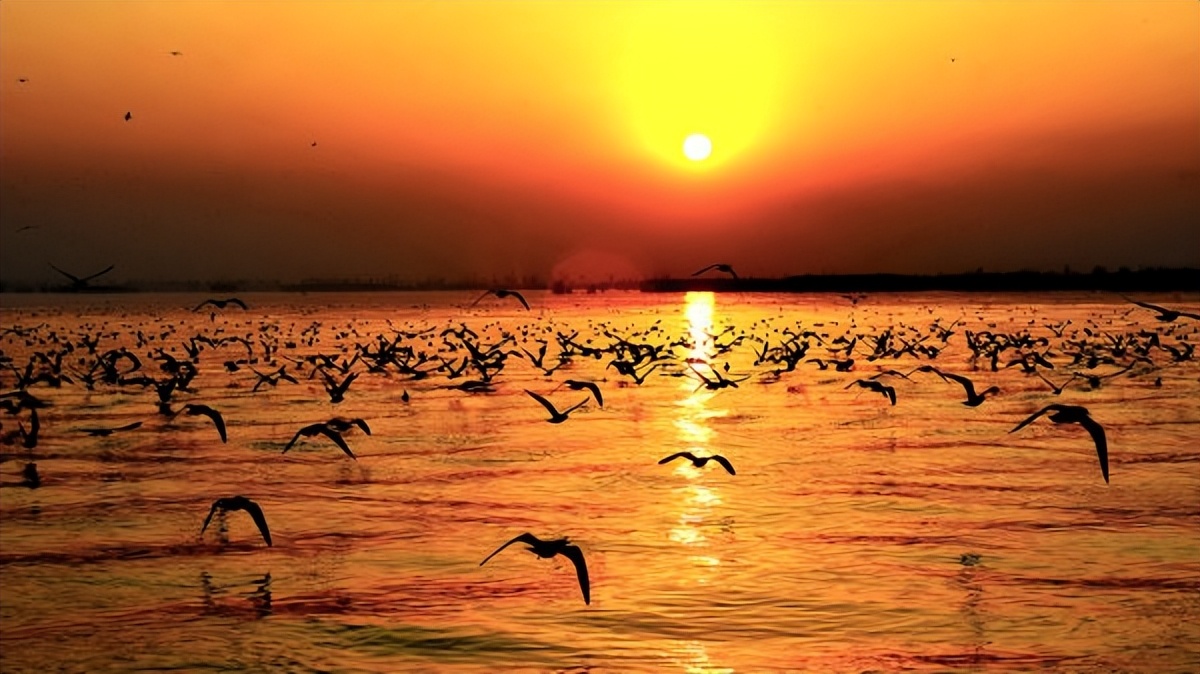 宁夏全域旅游宣传视频,宁夏文化旅游宣传推广活动