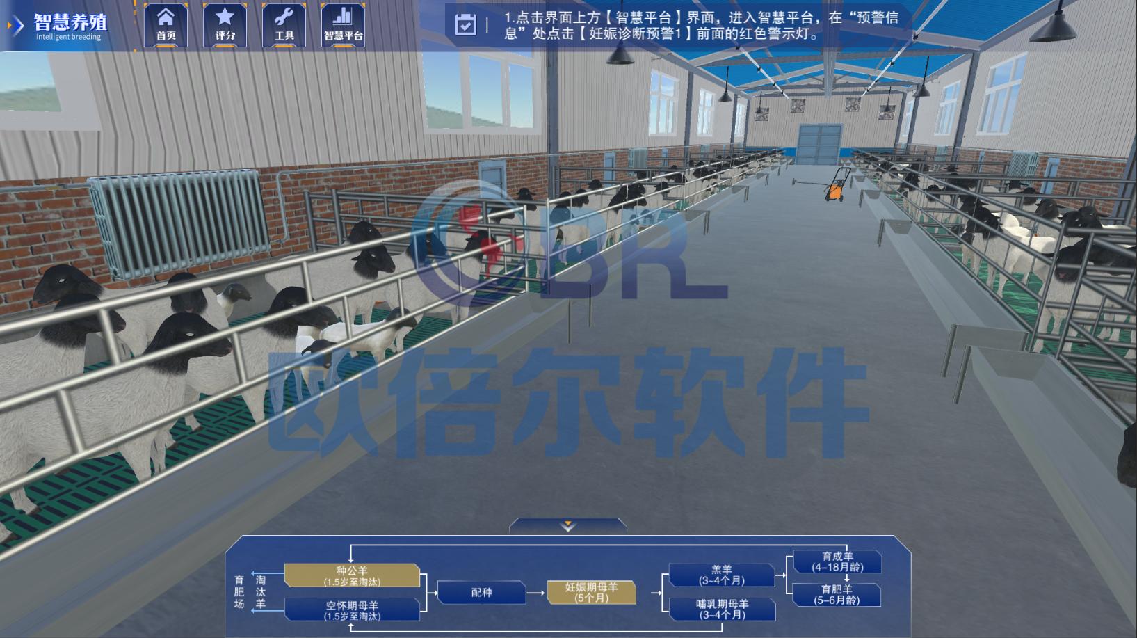 人工智能羊养殖,智慧湖羊养殖模式