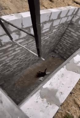 100个难得一见照片,火山爆发时的岩浆图片真实