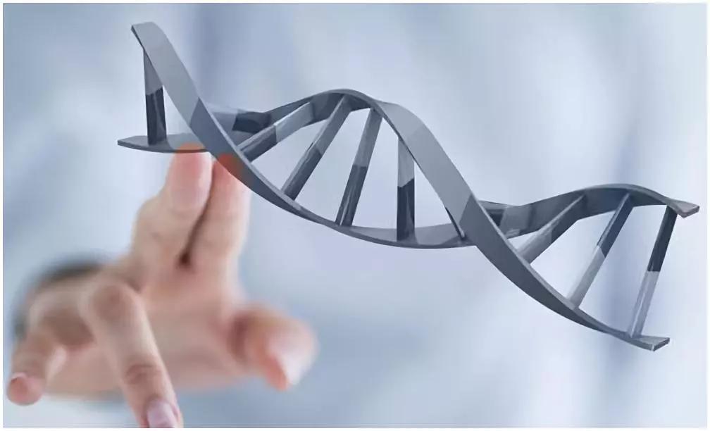 胆固醇血脂高有哪些食物不能吃,什么食物降血脂和胆固醇还护肝