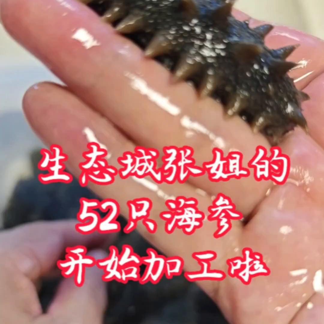 天津张姐海参,张姐海参