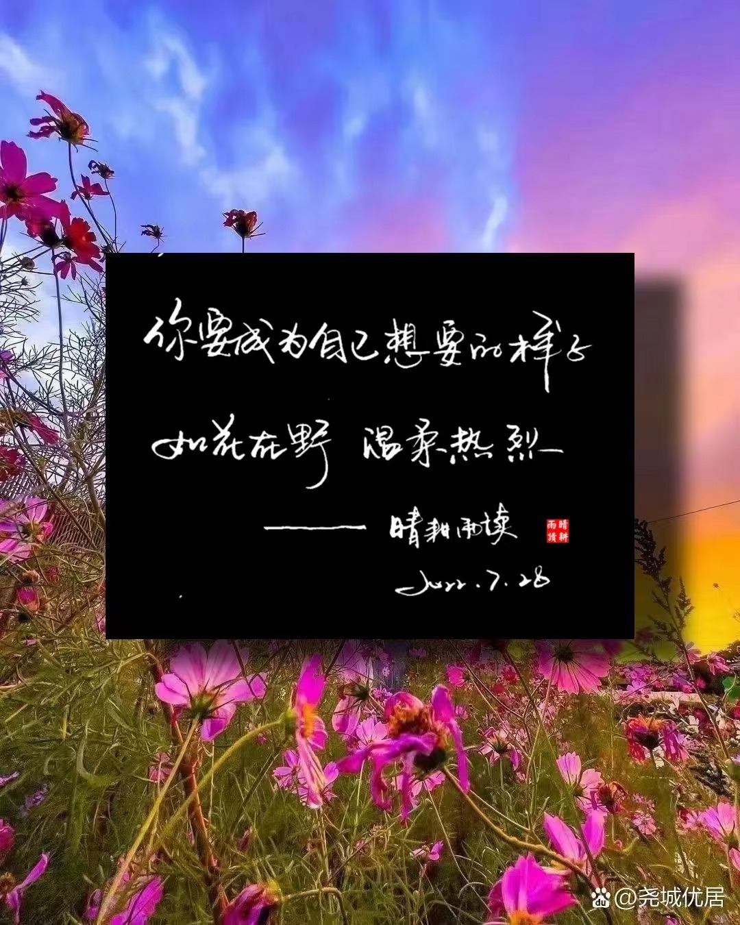 明心见性的禅意句子,明心见性的智慧诗句