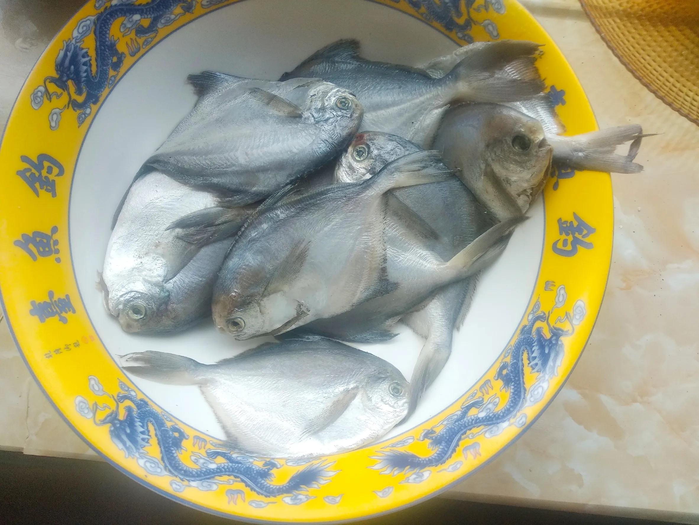 休渔期到来但这些海鲜仍可以选择,休渔期什么海鲜最好卖