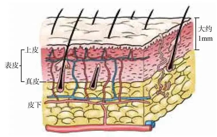 外科顶级缝针技术,外科缝合的操作细节你掌握多少