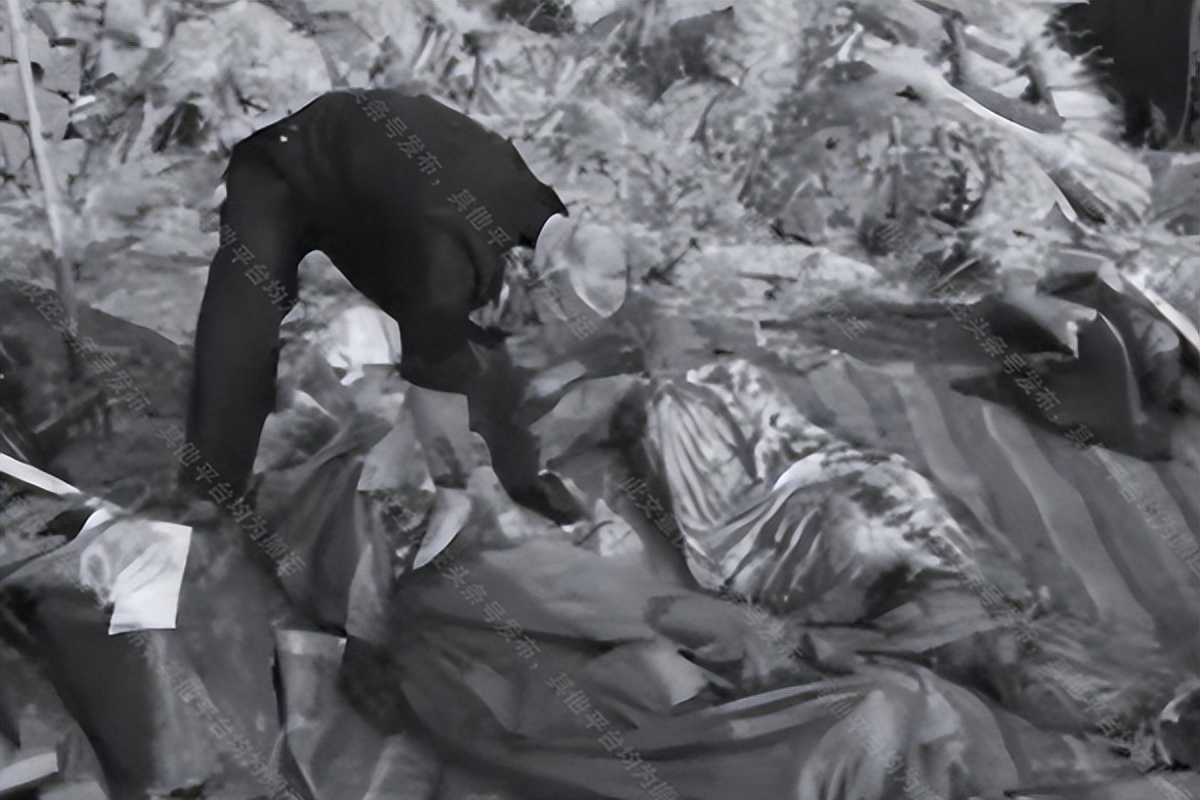 黑龙江妇女杀害两兄弟,黑龙江菜窖藏尸案视频