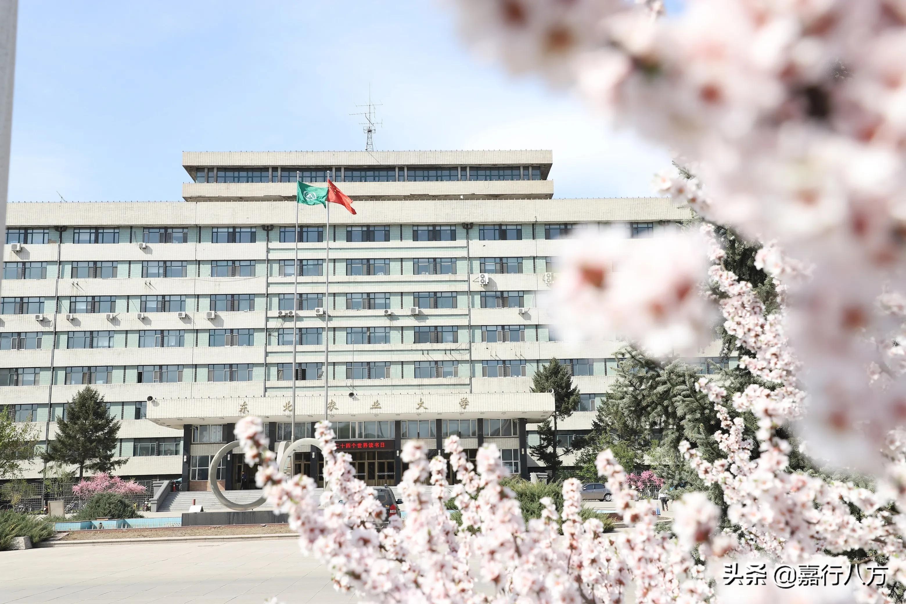 东北农业大学农学院,东北农业大学研究生