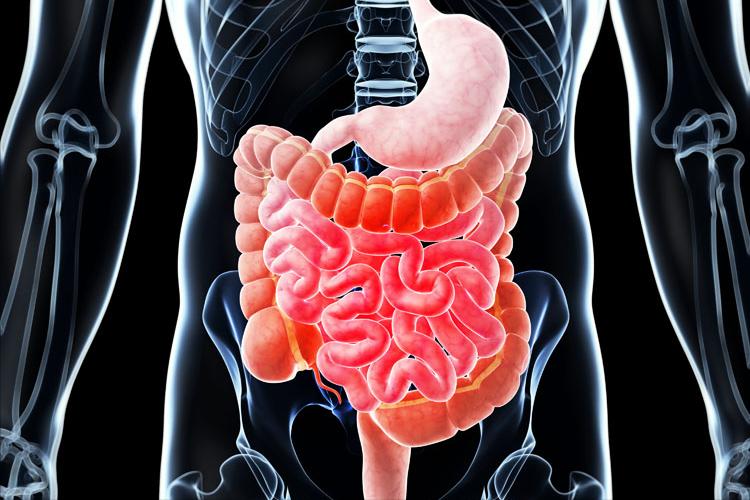 治疗肛裂生肌的药,有没有秘方治疗肛裂的