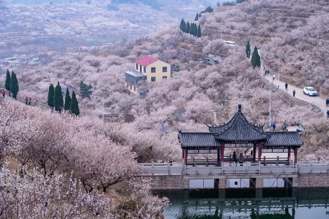 疫情快过去吧，我不想错过这座海滨老城的春天