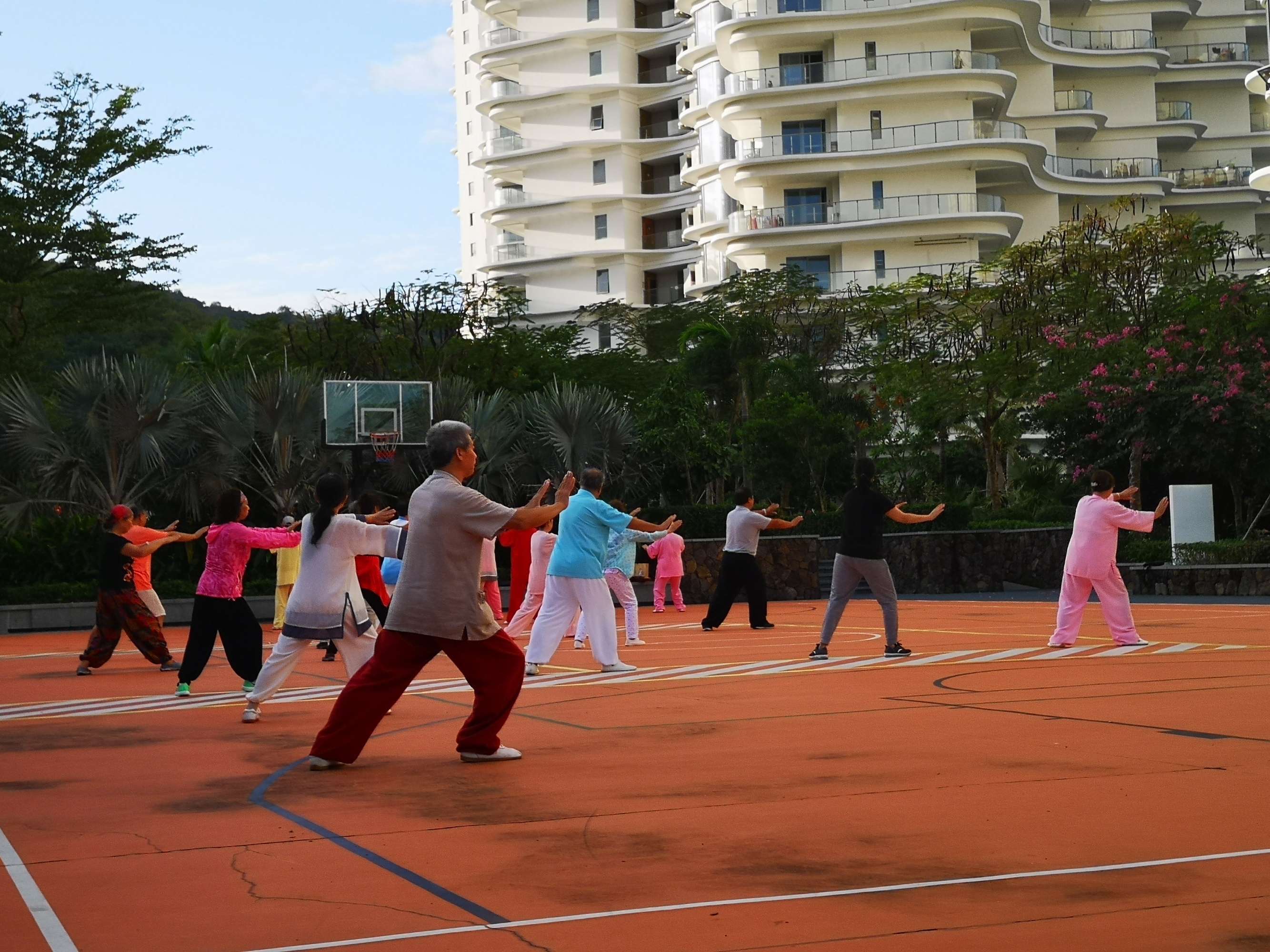 圆梦之园一一我的波波利海岸,下篇
