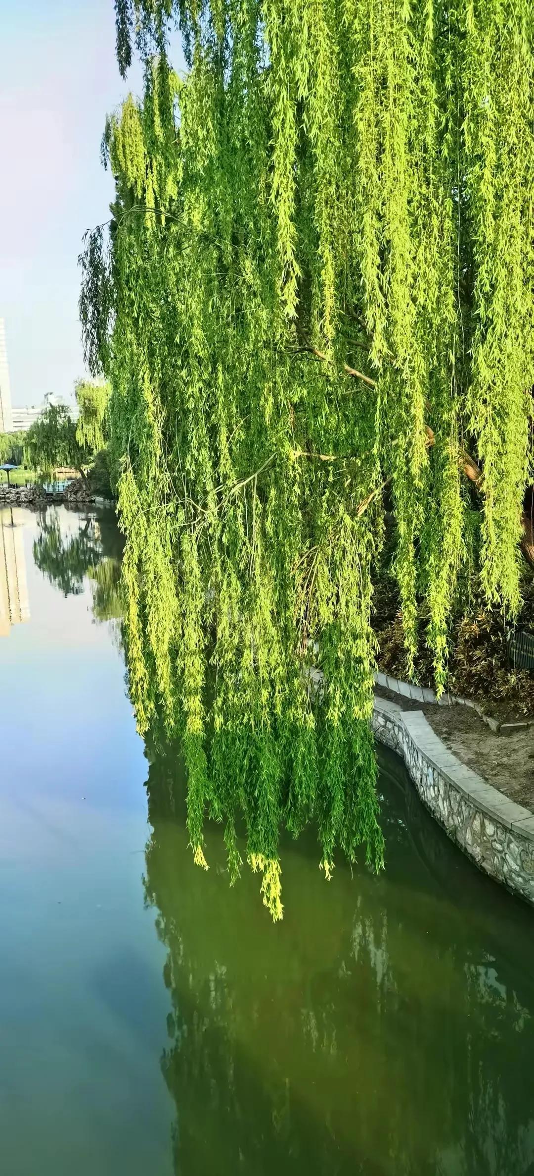 人生哲理意境文字,真字人生哲理