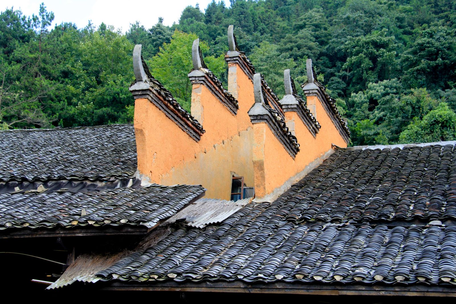 去张家界玩的攻略大全,湖南张家界旅游攻略4天3晚价格