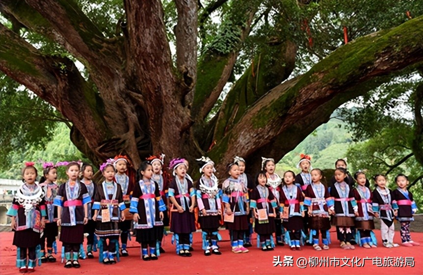 盛夏的风吹过茶园，穿过侗寨，在风情三江留恋不走~