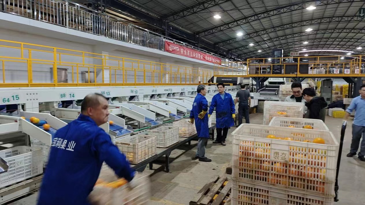 江西联通:乡村振兴,最是橙黄桔绿时