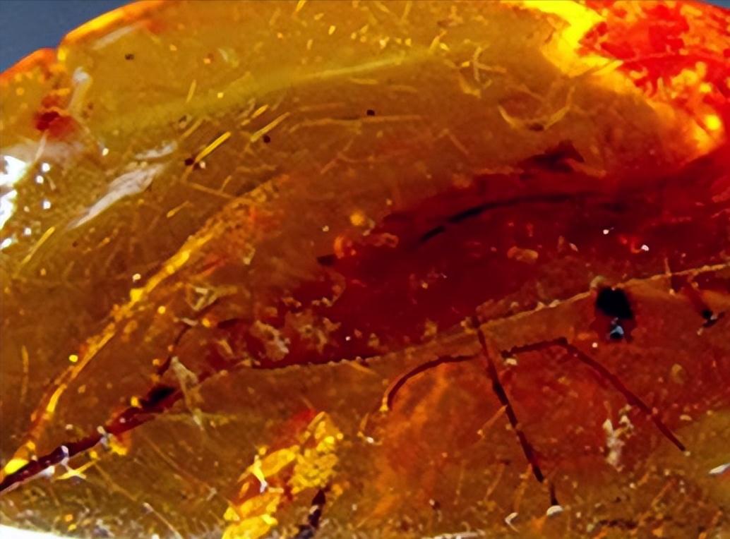 琥珀里有黑点是瑕疵吗,琥珀的瑕疵可以盘掉吗