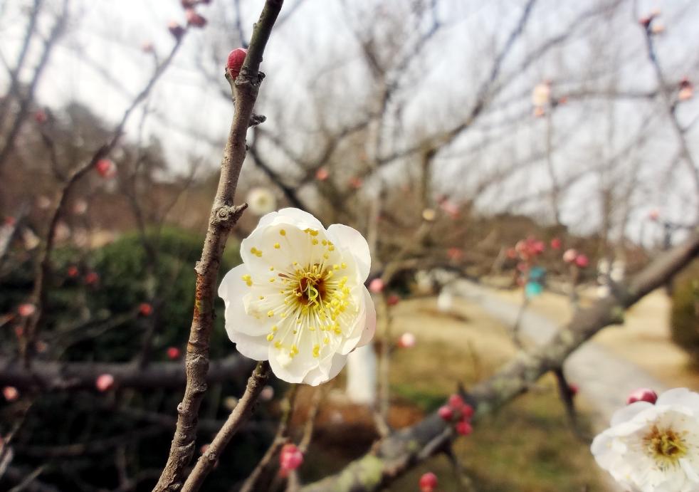 极有意境的茶诗,十首最美茶的诗