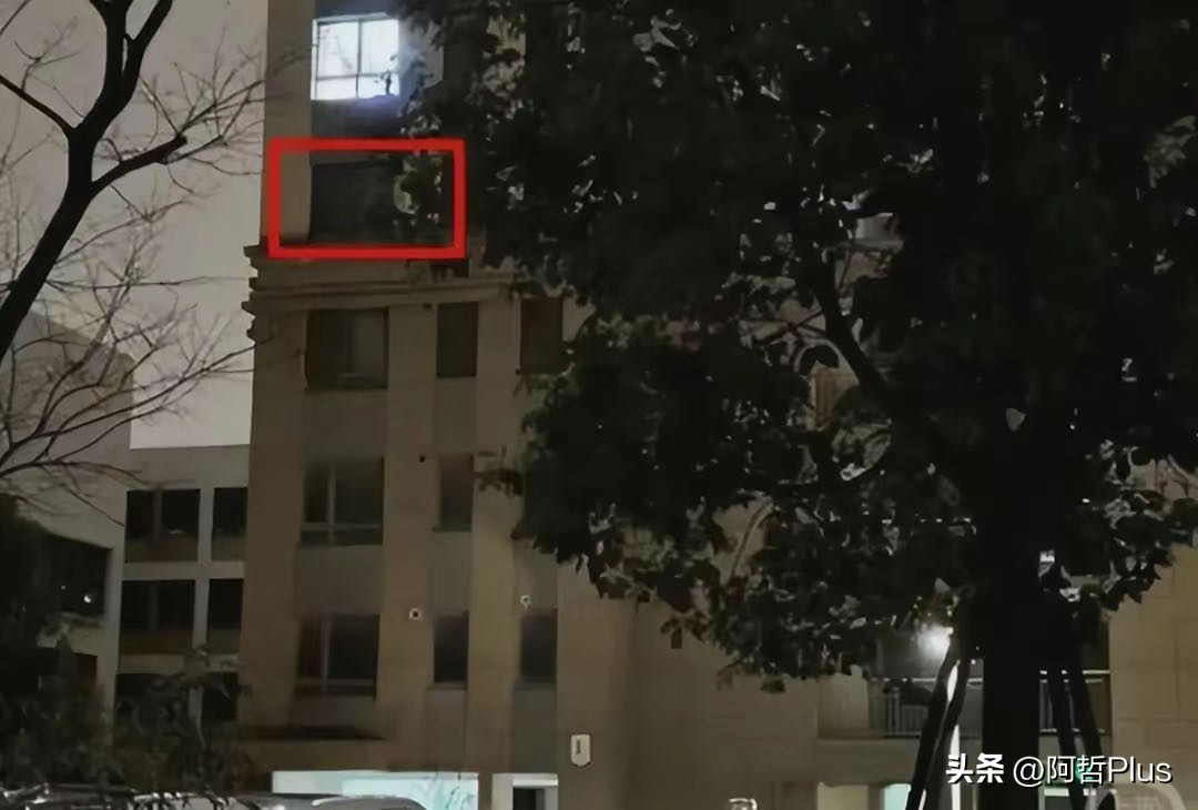 杀夫藏尸案还涉嫌诈骗,杀夫藏尸诈骗案