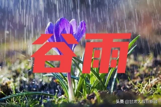 明日谷雨，老话“谷雨在月尾，农夫有两怕”指哪两怕？有何说法？