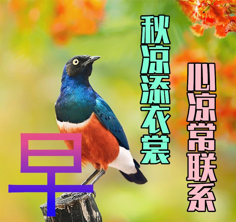 周末早安最漂亮问候图片带字,周三早安正能量图片带字