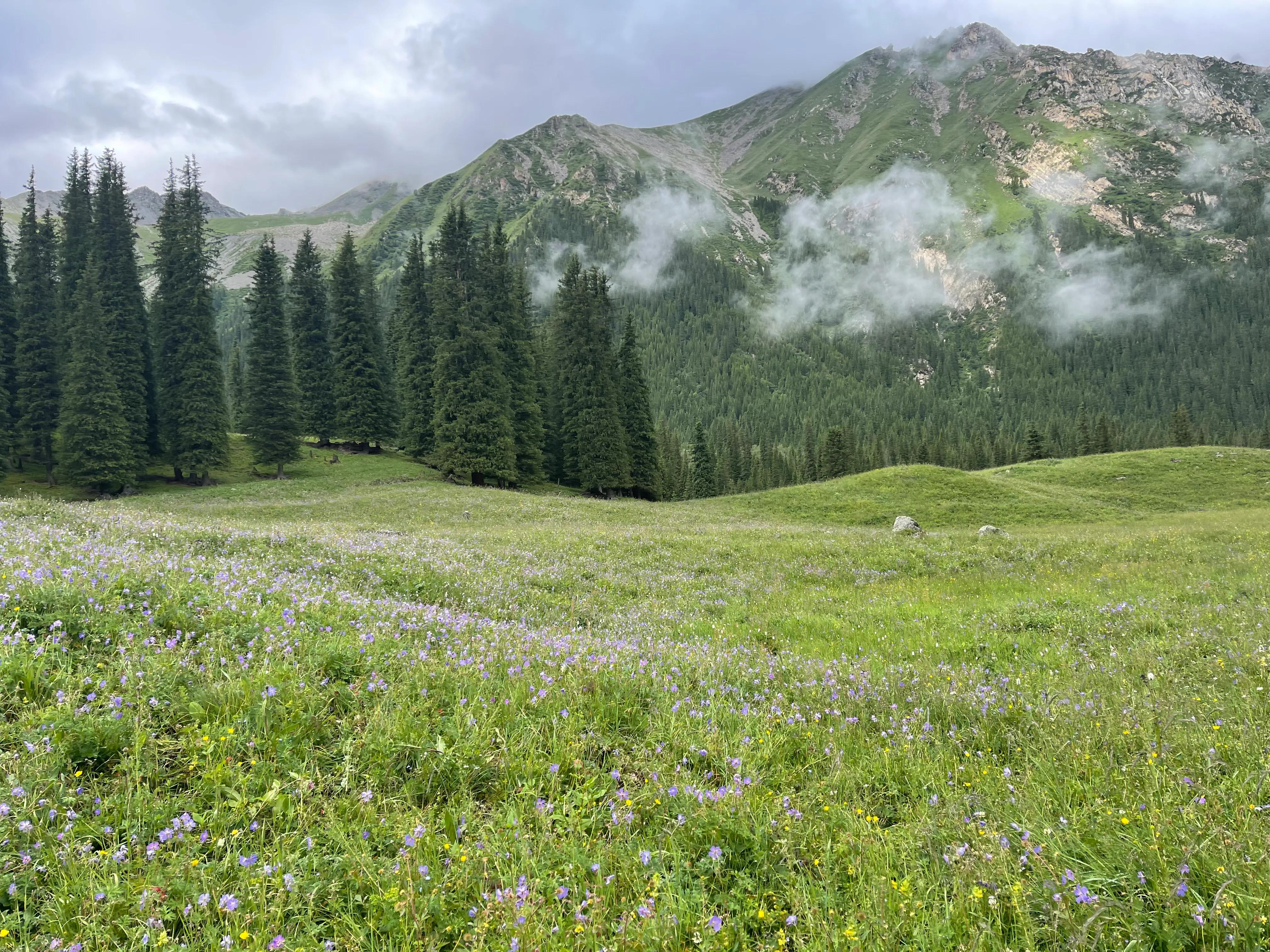 伊犁徒步穿越古道,伊犁昭苏县夏塔古道图片