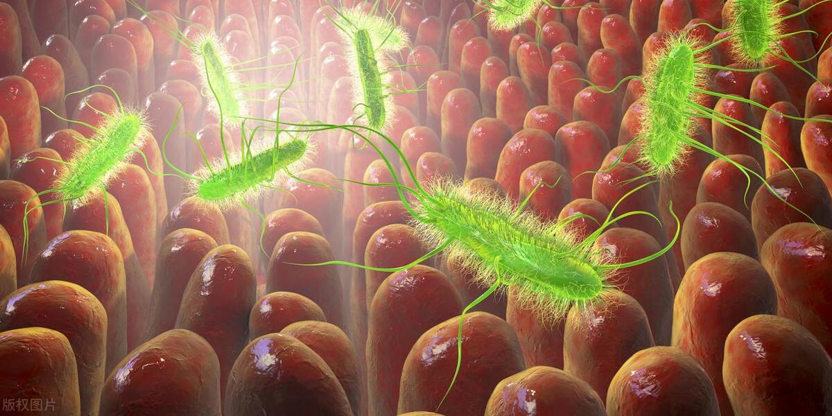 渴望亲密关系但又不知所措,夫妻无肉不欢双双查出直肠癌