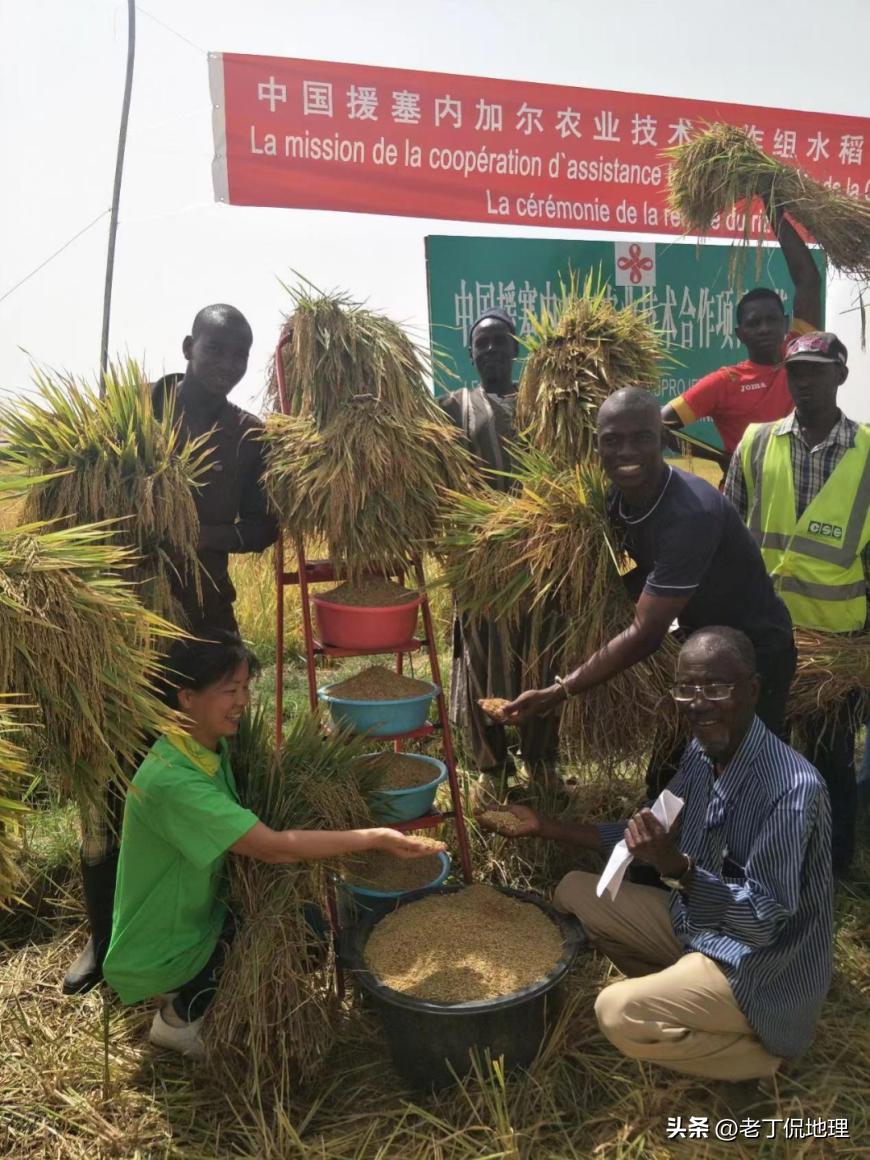 世界杯喀麦隆vs阿尔及利亚,塞内加尔世界杯之路