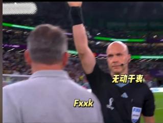 韩国葡萄牙黑哨恩怨,葡萄牙韩国黑哨全过程