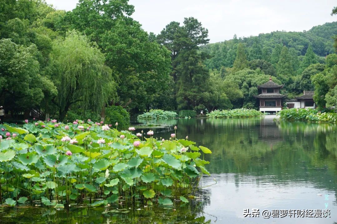 长沙第一波赏荷地图,杭州夏日赏荷地图