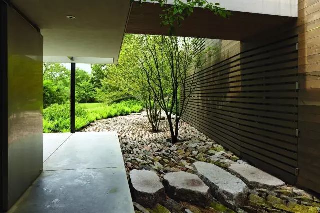 大山里捡回来的石头,大山里的石头块