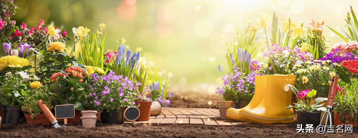 园艺公司起名大全,园艺公司起名