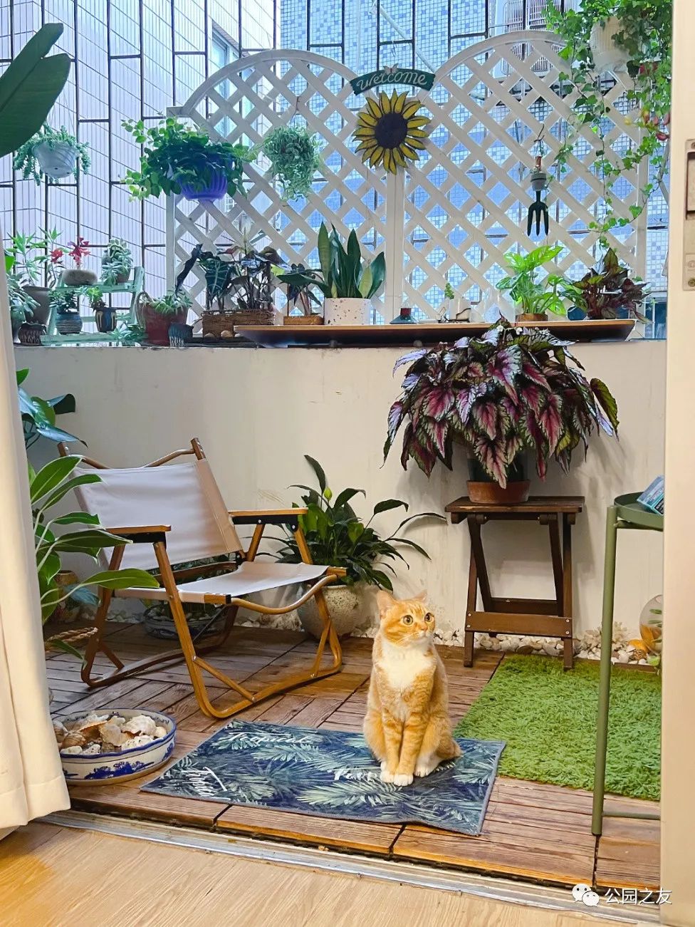 很多人羡慕的阳台,让别人羡慕的阳台