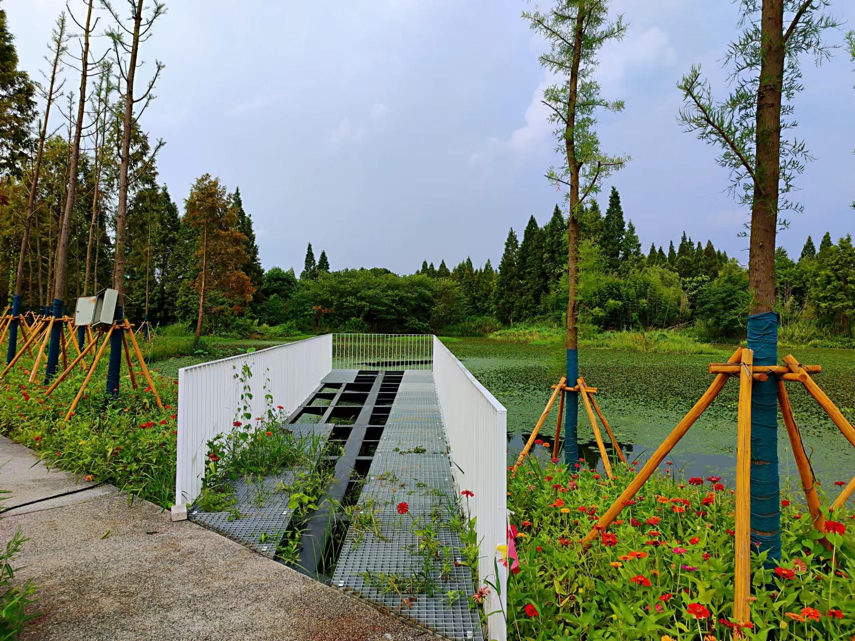 西塞山前白鹭飞图文,西塞山前白鹭飞风景