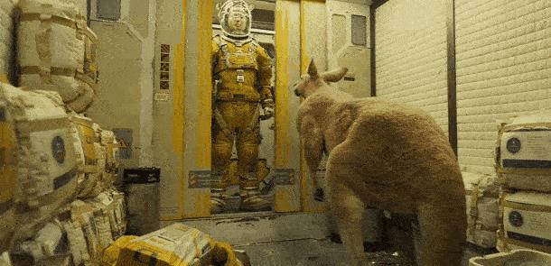 阿凡达不好看为什么票房高,阿凡达票房不及预期